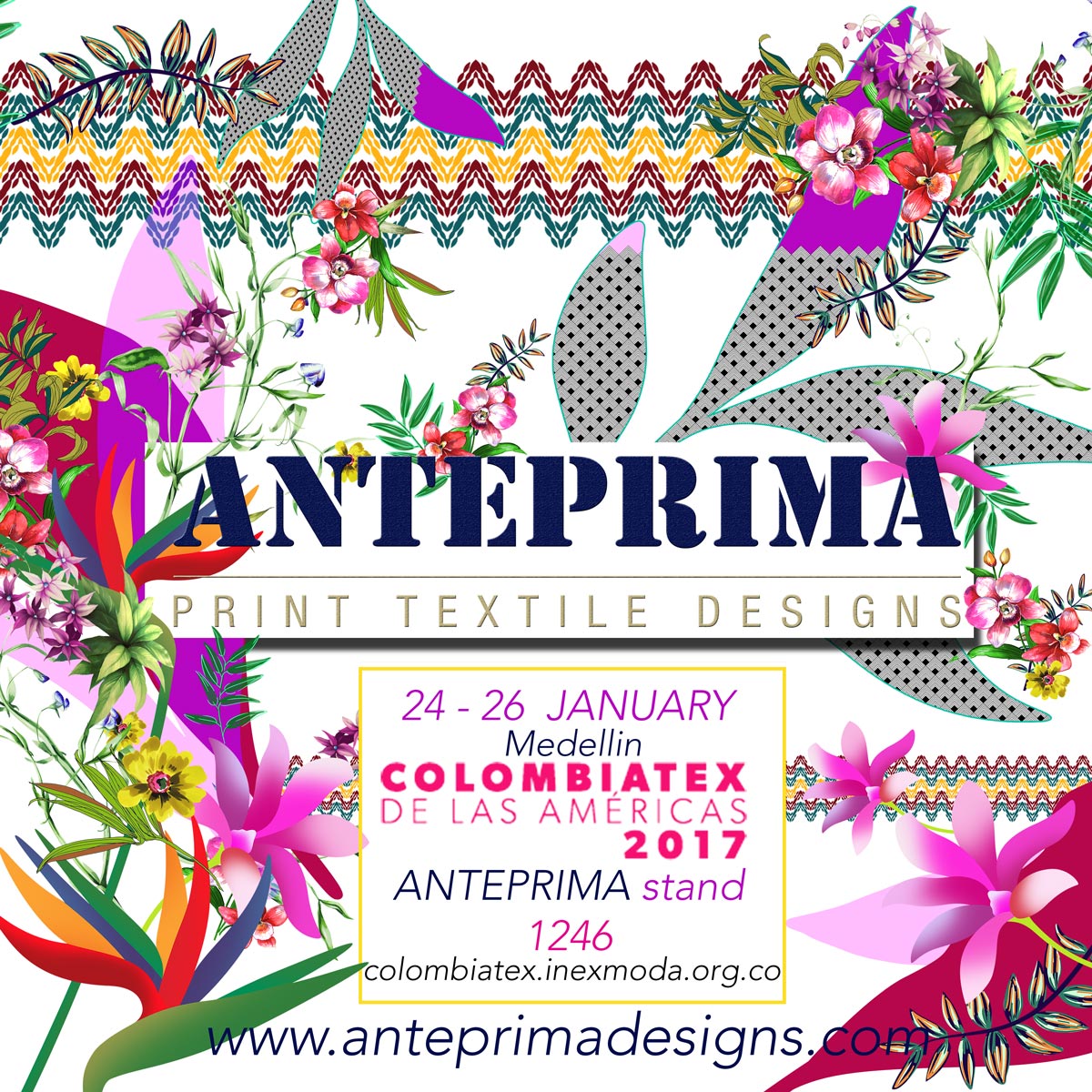 Anteprima @ Colombiatex 2017